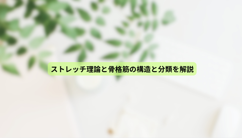 画像15870