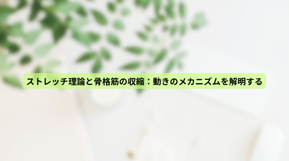 画像15898