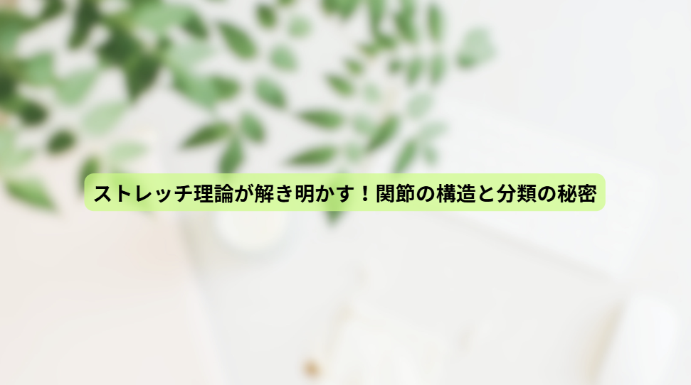 画像15926