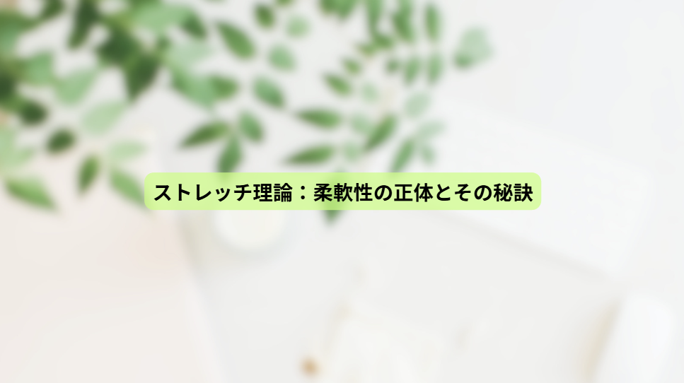 画像15954