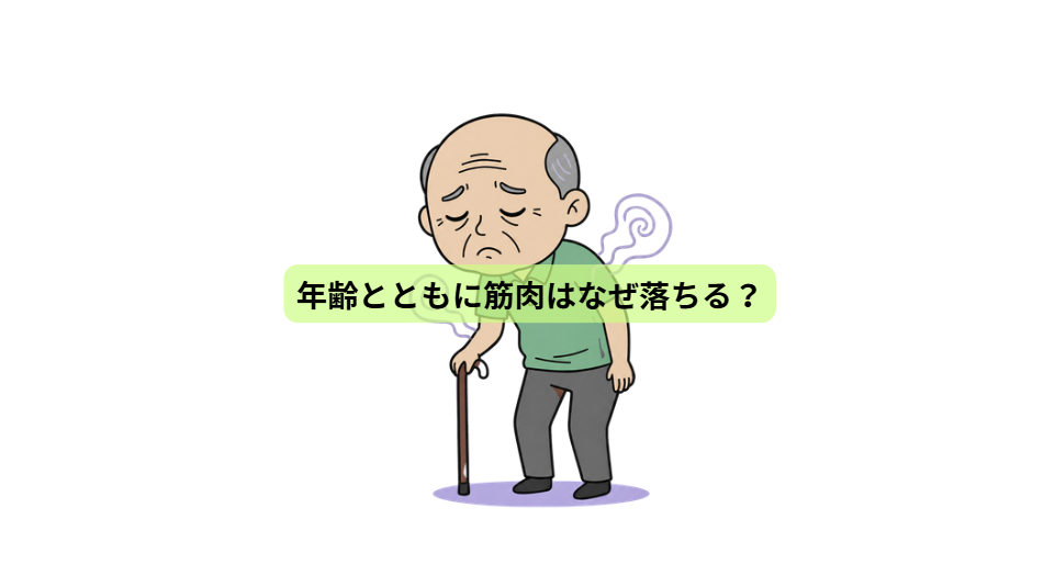 運動の秋！体力をつくる7日間【第２回】年齢とともに筋肉はなぜ落ちる？
