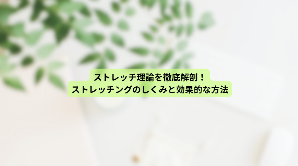 画像15984