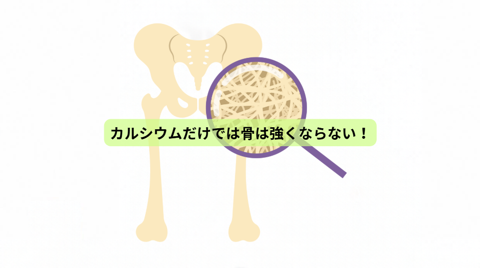 骨から始める健康寿命の延ばし方【第３回】カルシウムだけでは骨は強くならない！