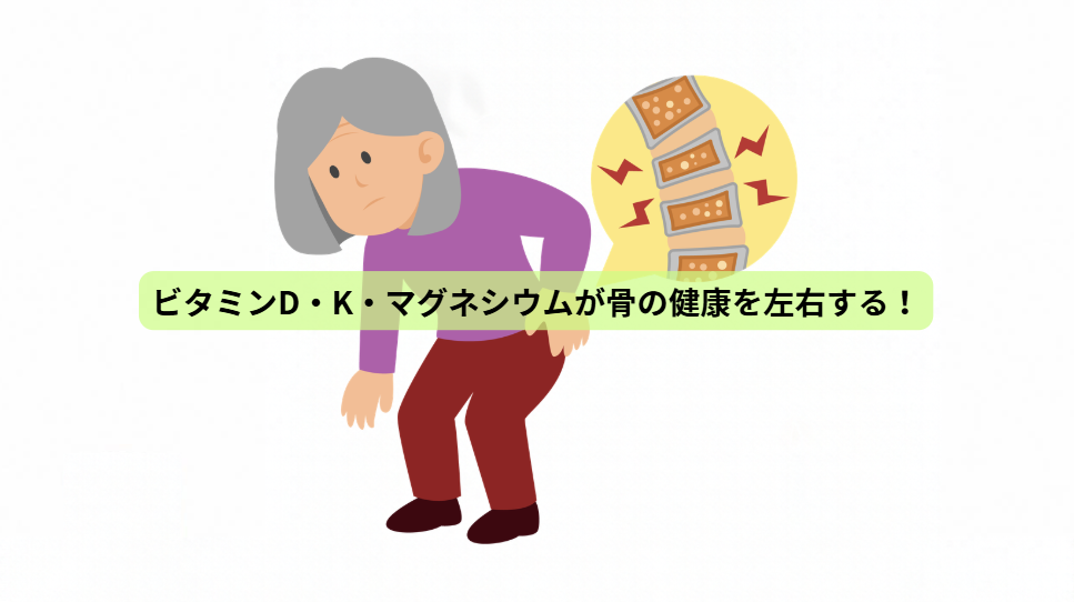 骨から始める健康寿命の延ばし方【第４回】ビタミンD・K・マグネシウムが骨の健康を左右する！