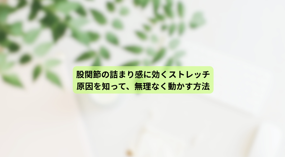 画像16439