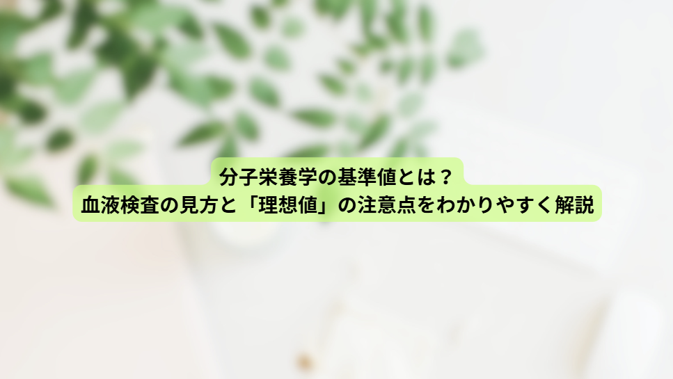 画像16521