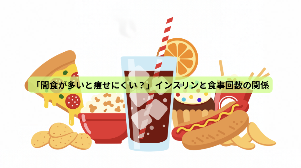 痩せるカギはインスリン？脂肪が燃える体の仕組み【第４回】「間食が多いと痩せにくい？」インスリンと食事回数の関係