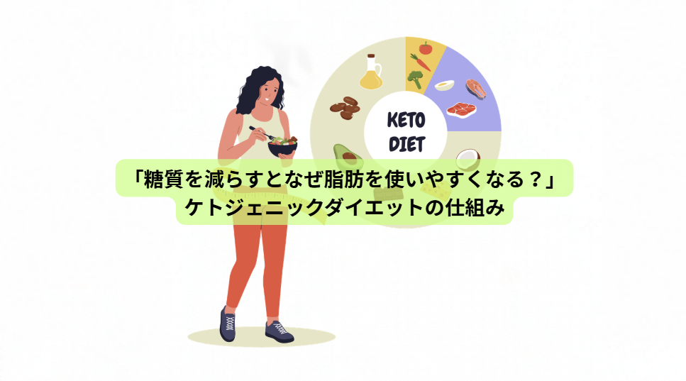 痩せるカギはインスリン？脂肪が燃える体の仕組み【第５回】「糖質を減らすとなぜ脂肪を使いやすくなる？」