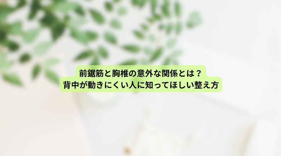 画像16660