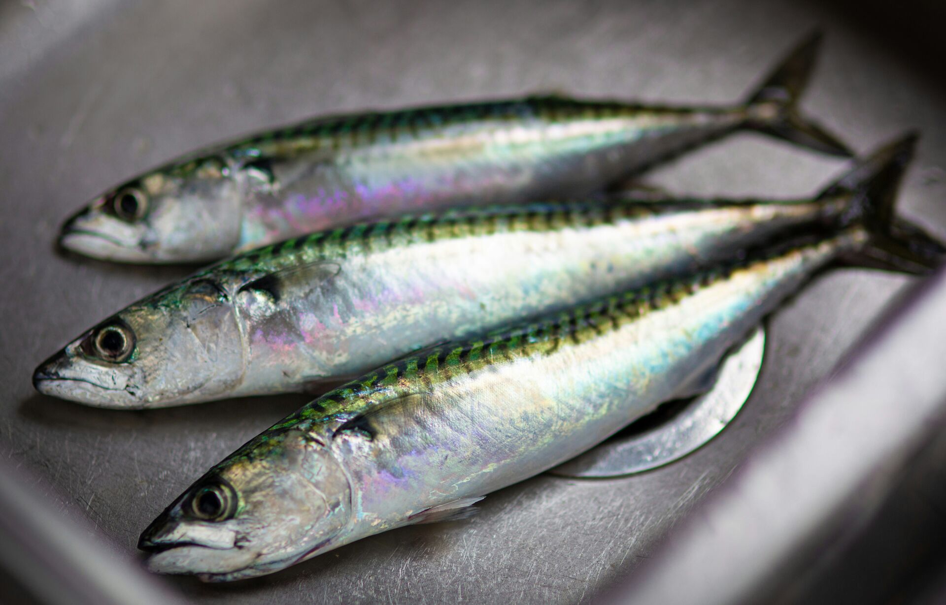 脂溶性ビタミンのはなし　その３