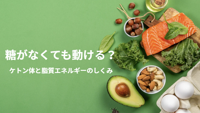 脂質のはなし　第6回