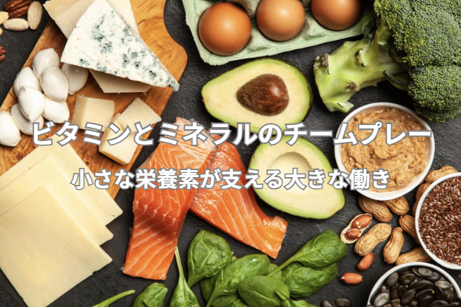 分子栄養学のはなし　第6回