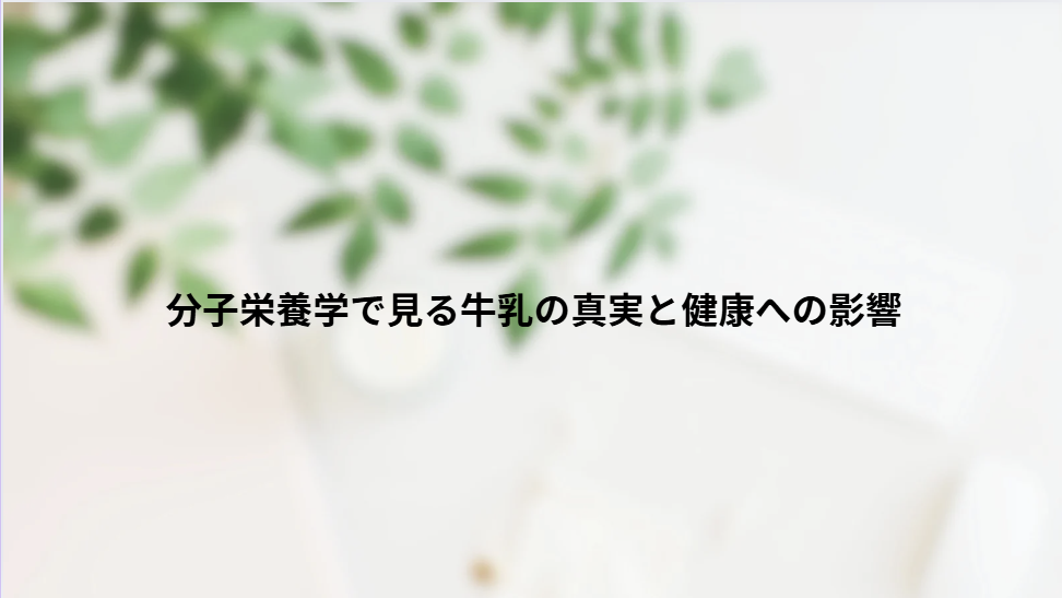 画像6382