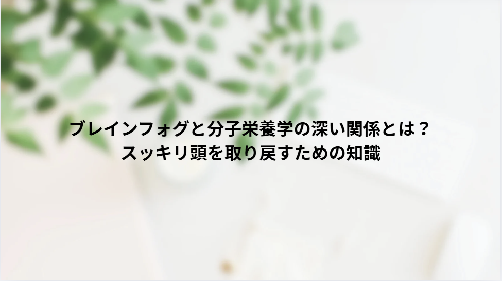画像6491