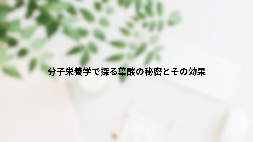 画像6546