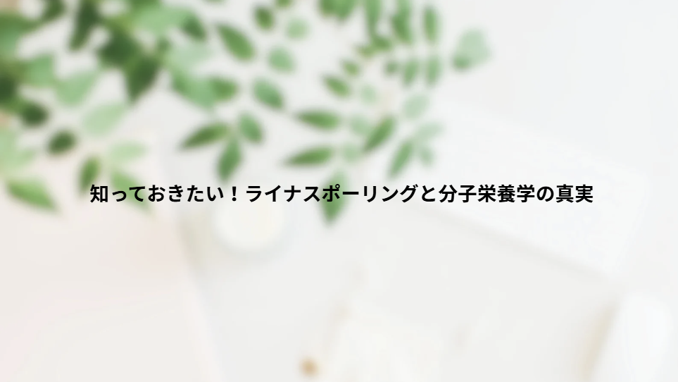 画像6629