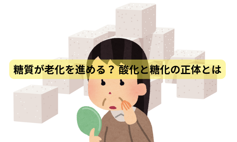 糖質のはなし　第4回