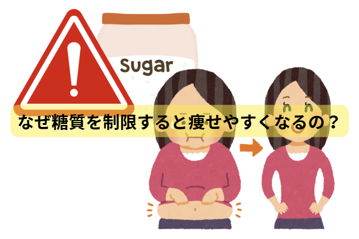 糖質のはなし　第5回：なぜ糖質を制限すると痩せやすくなるの？