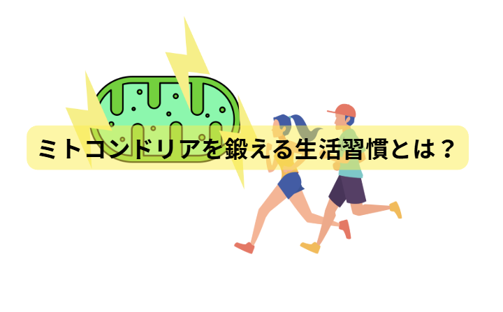 ミトコンドリアのはなし　第6回：ミトコンドリアを鍛える生活習慣とは？
