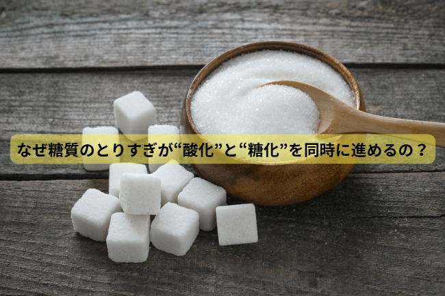 酸化のはなし　【第3回】なぜ糖質のとりすぎが“酸化”と“糖化”を同時に進めるの？