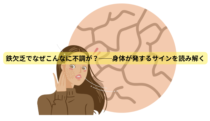 鉄不足のはなし　【第2回】鉄欠乏でなぜこんなに不調が？──身体が発するサインを読み解く
