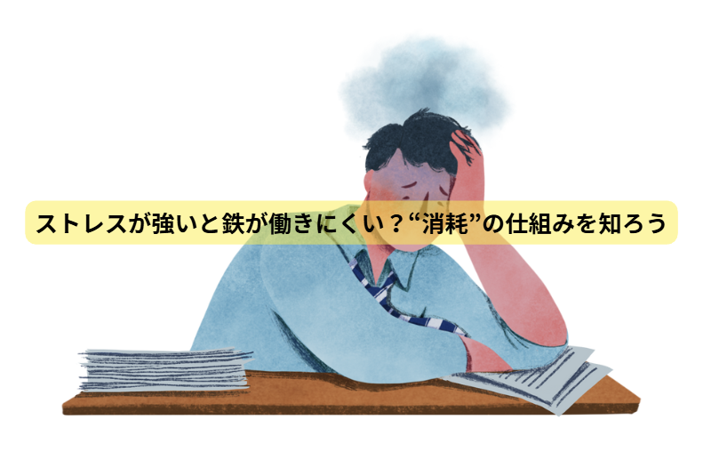 鉄とメンタルのはなし　第6回：ストレスが強いと鉄が働きにくい？“消耗”の仕組みを知ろう