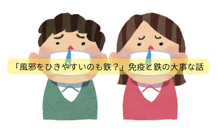 鉄と子供の発達のはなし【第5回】「風邪をひきやすいのも鉄？」免疫と鉄の大事な話