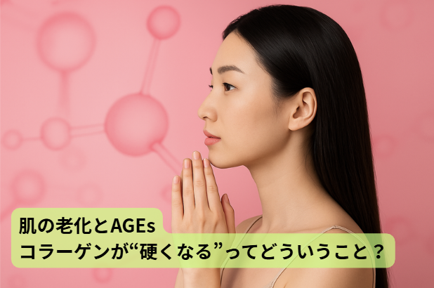 AGEｓのはなし【第3回】肌の老化とAGEs：コラーゲンが“硬くなる”ってどういうこと？
