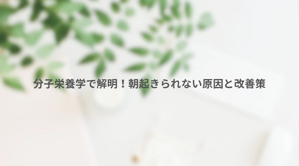 画像8223