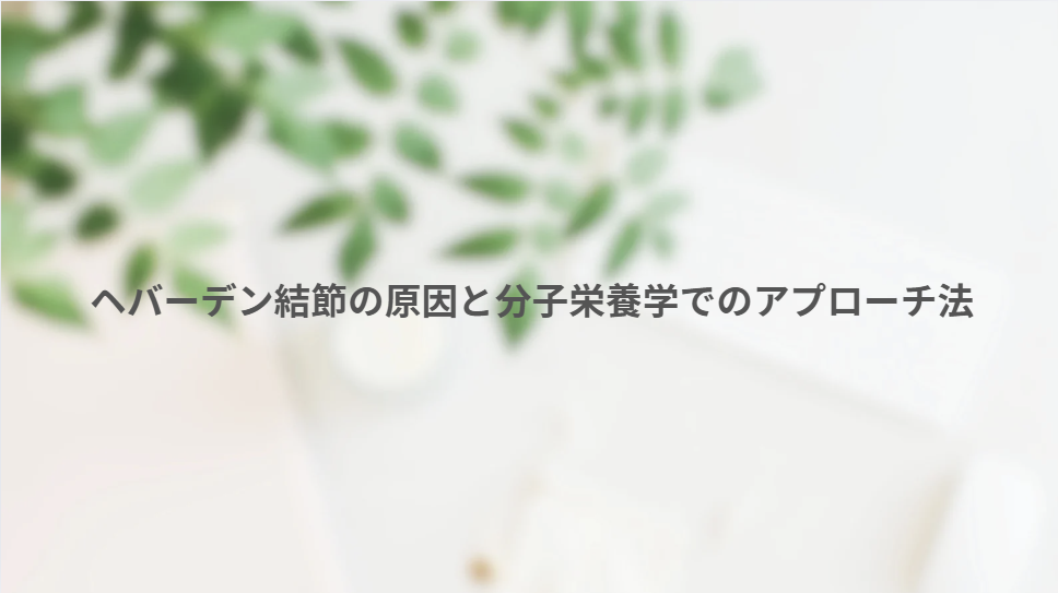 画像8279