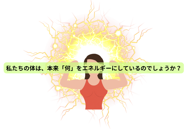 米国保健福祉省の食事ガイドラインの大幅な見直しをうけて 【第3回】 私たちの体は、本来「何」をエネルギーにしているのでしょうか？