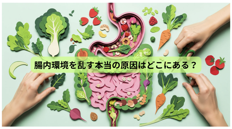 腸内環境のはなし【第3回】腸内環境を乱す本当の原因はどこにある？