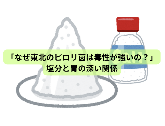 ピロリ菌のはなし【第3回】「なぜ東北のピロリ菌は毒性が強いの？」──塩分と胃の深い関係