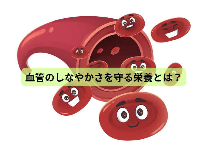 高血圧のはなし【第6回】 血管のしなやかさを守る栄養とは？
